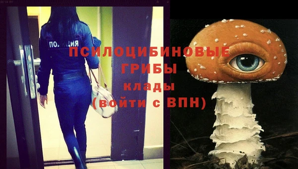 MDMA Михайловка